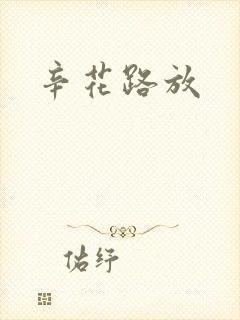 辛花路放封面