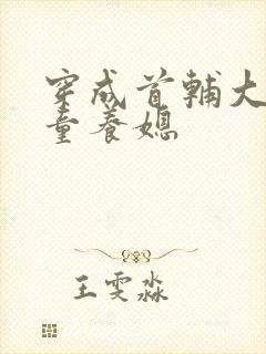 穿成首辅大人的童养媳封面