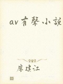 av有声小说