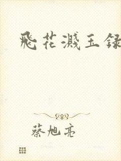 飞花溅玉录