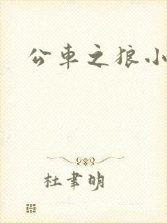 公车之狼小说