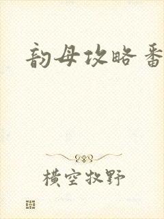 韵母攻略番外封面