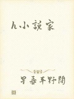 h小说家