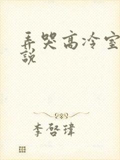 弄哭高冷室友小说
