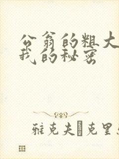 公翁的粗大放进我的秘密封面