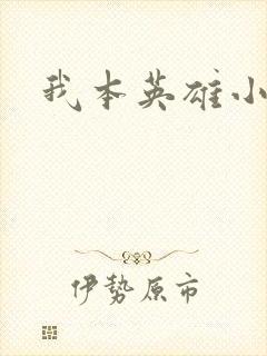我本英雄小说