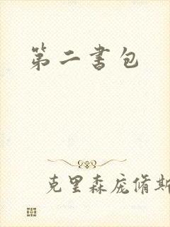 第二书包