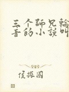 三个师兄轮流上音的小说叫什么