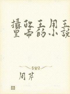 摄政王用玉髓整皇帝的小说