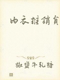 内衣推销员封面