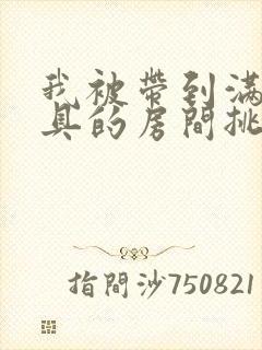 我被带到满是玩具的房间挑调作文