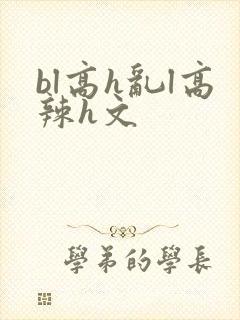 bl高h乱l高辣h文