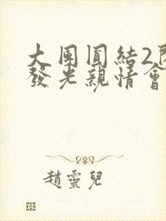 大团圆结2闪闪发光亲情会