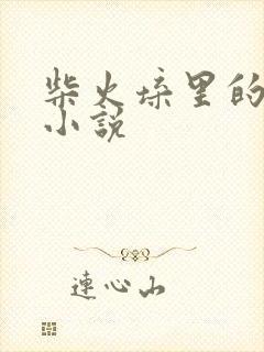 柴火垛里的疯狂小说