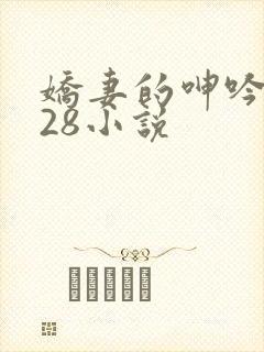 娇妻的呻吟1—28小说