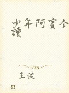少年阿宾全集阅读