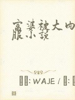 富婆被大肉楱征服小说封面