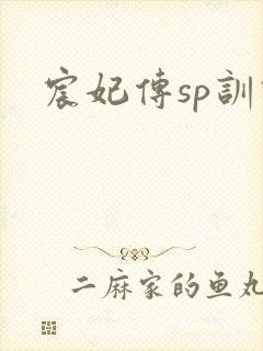 宸妃传sp训诫封面