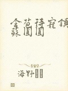 含苞待宠镇国公苏圆圆