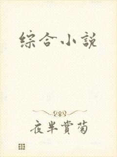 综合小说