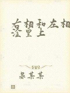 右相和左相一起淦皇上