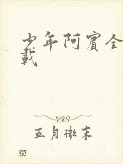 少年阿宾全集下载