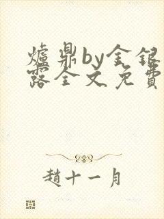 炉鼎by金银花露全文免费阅读笔趣阁封面