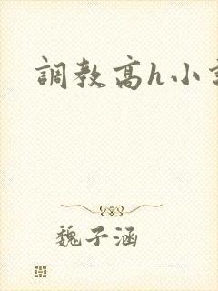 调教高h小说