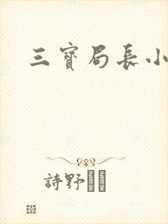 三宝局长小说封面