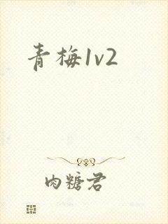 青梅1v2