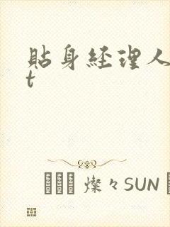 贴身经理人txt封面