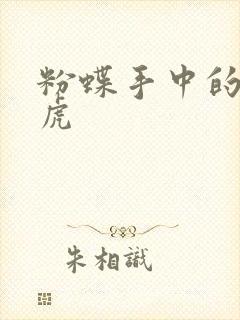 粉蝶手中的纸老虎封面