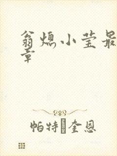 翁熄小莹最新节章