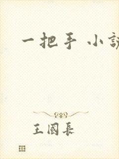 一把手 小说