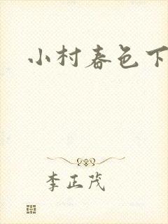 小村春色下载
