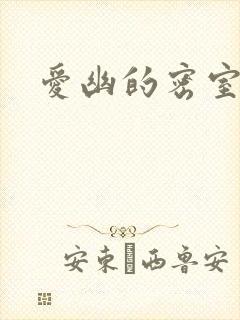 爱幽的密室小说封面