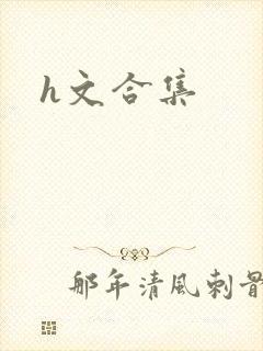 h文合集