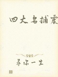 四大名捕震关东