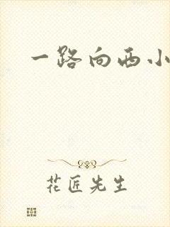 一路向西小说