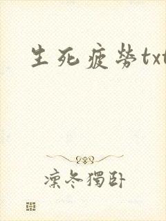 生死疲劳txt