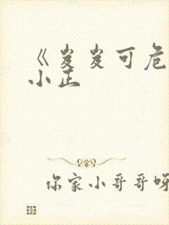 《岌岌可危》夏小正封面