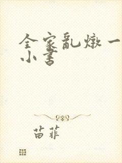 全家乱炖一锅烩小书