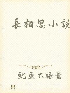 长相思小说原著封面