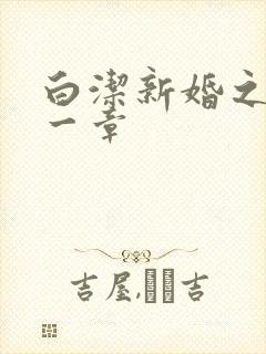 白洁新婚之夜第一章