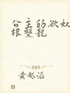 公主的欲奴h四根双龙