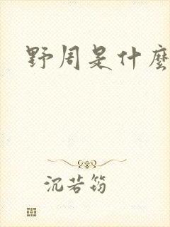 野周是什么意思