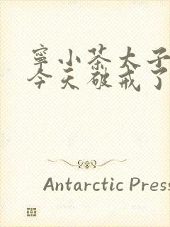 宁小茶太子殿下今天破戒了吗免费阅读