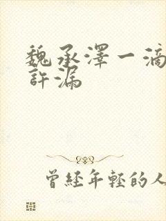 魏承泽一滴都不许漏封面