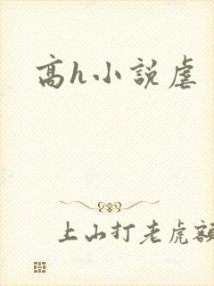 高h小说虐