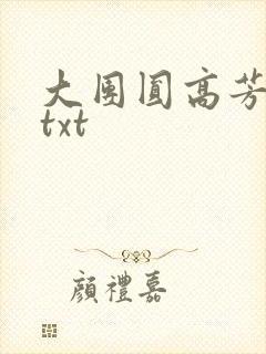大团圆高芳小说txt封面